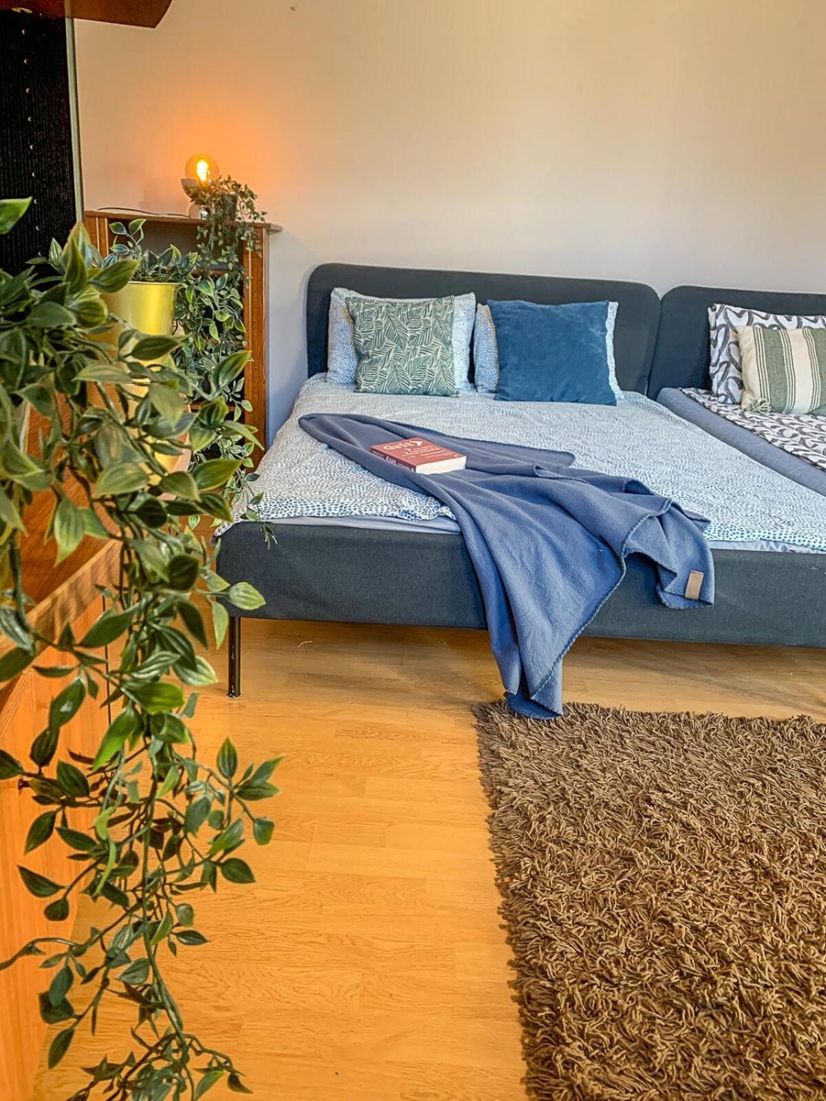 Apartament Budget Friendly Bucureşti